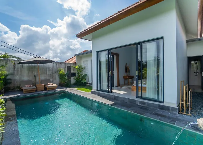 Villa Temuku *
