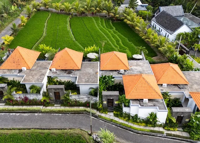 Villa Temuku