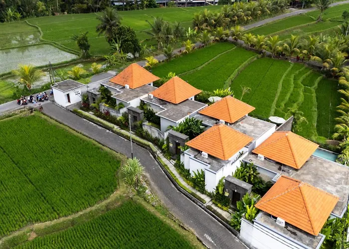 Temuku Ubud