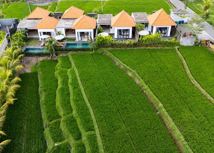 Temuku Ubud